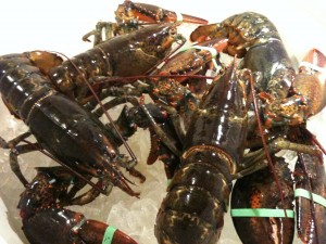 Lobsters